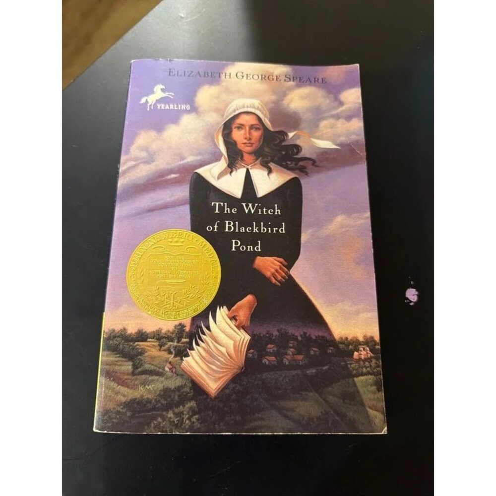 The witch of blackbird Pond